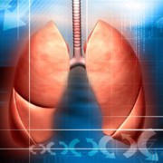 Lung Conditions related image